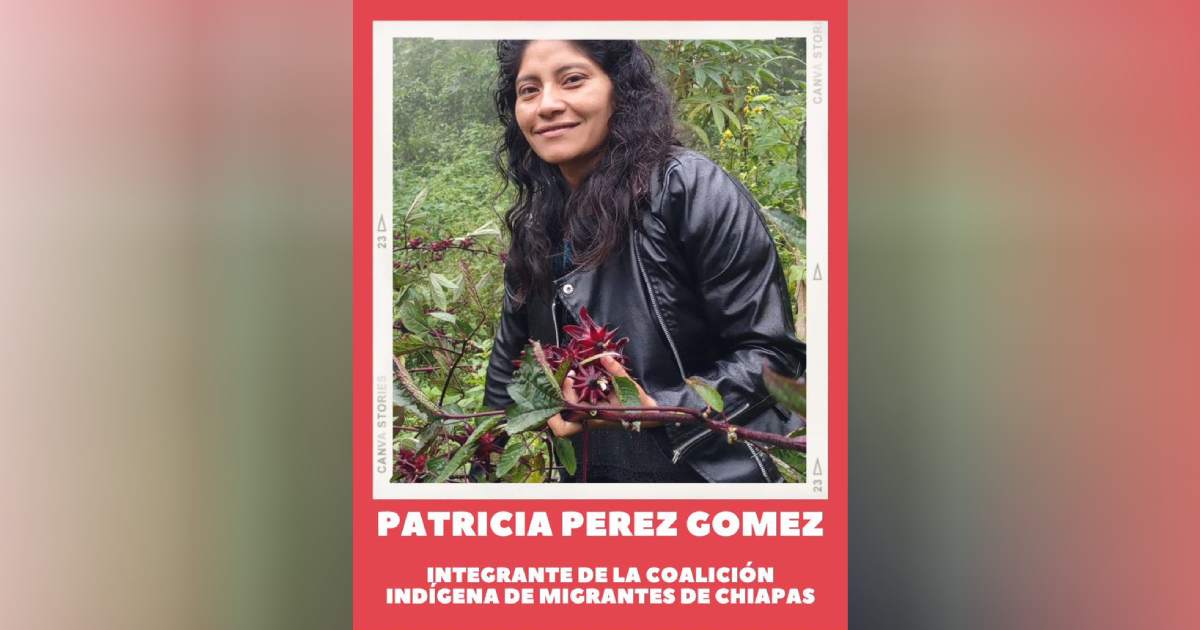 Activista de Chiapas desaparece en viaje a CDMX