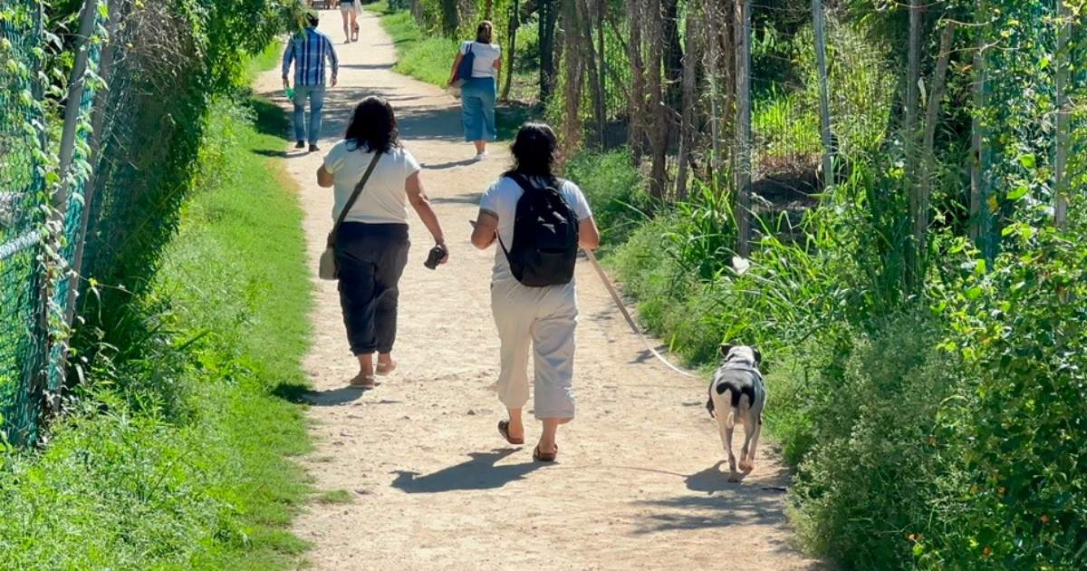 Playa del Carmen tendrá un cementerio exclusivo para mascotas