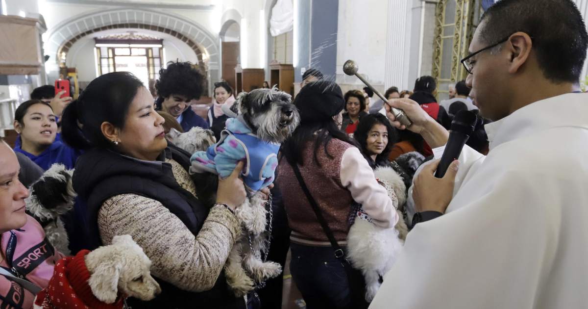 Mascotas reciben la bendición de San Antonio Abad para tener muchos años de vida