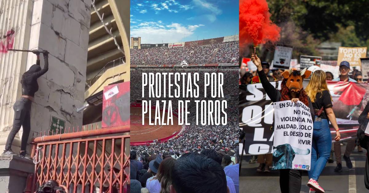 Protestas tras la reapertura de la Plaza de Toros