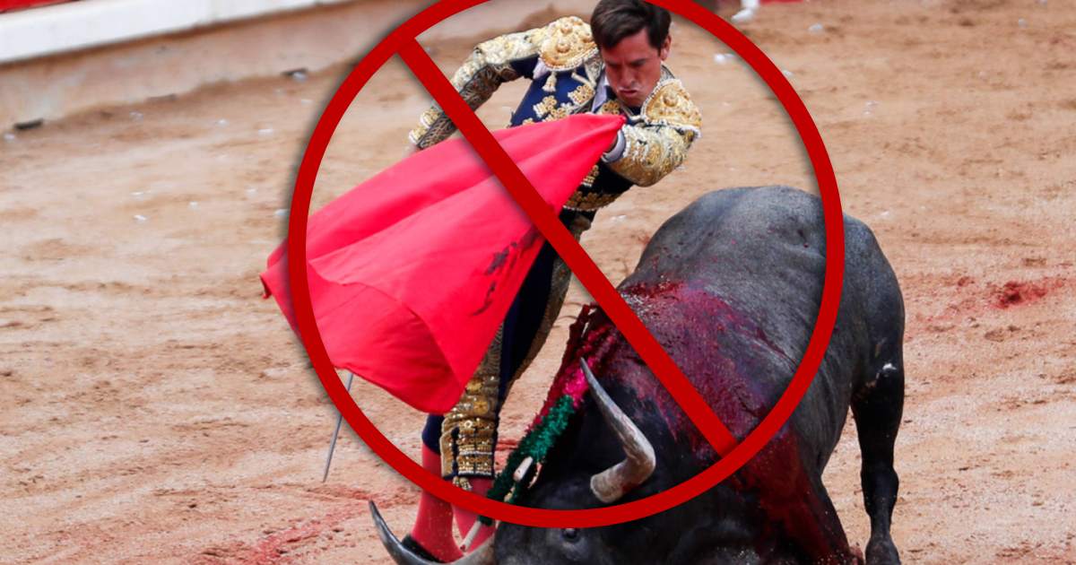 Vuelven a suspender las corridas de toros en la Plaza Monumental de México