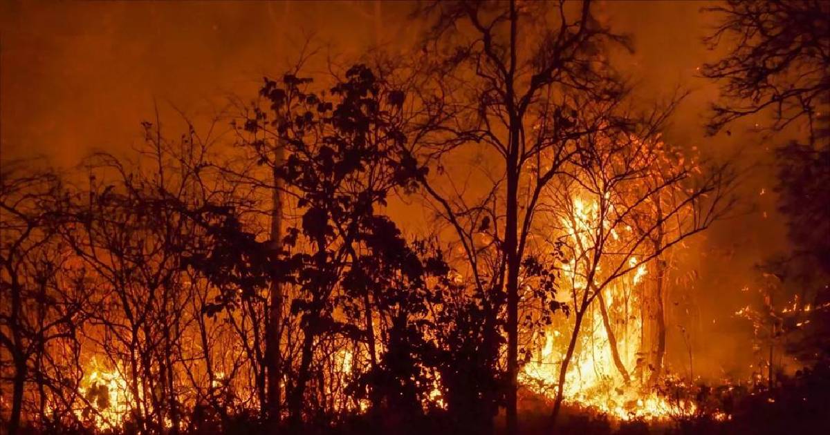 México envía 20 toneladas de víveres a Chile para ayuda humanitaria ante incendios