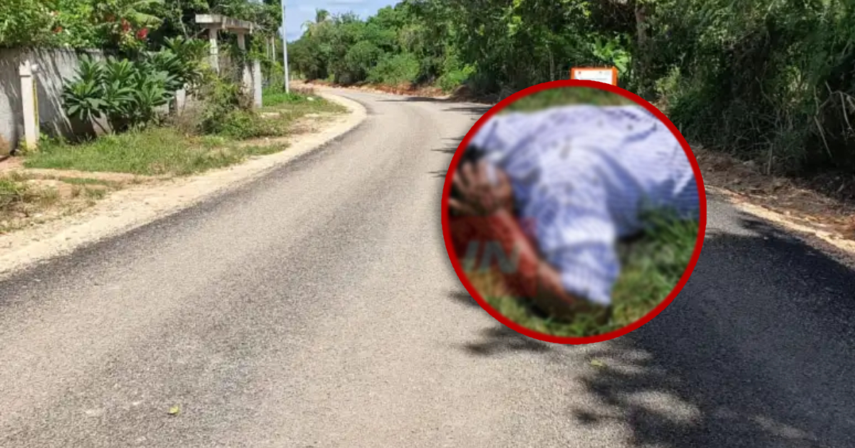 Muere un hombre de 65 años por picaduras de abejas en José María Morelos