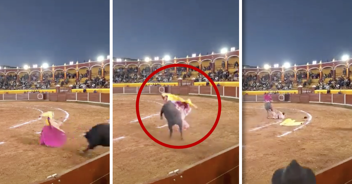 Torero que recibió una cornada en Tlaxcala