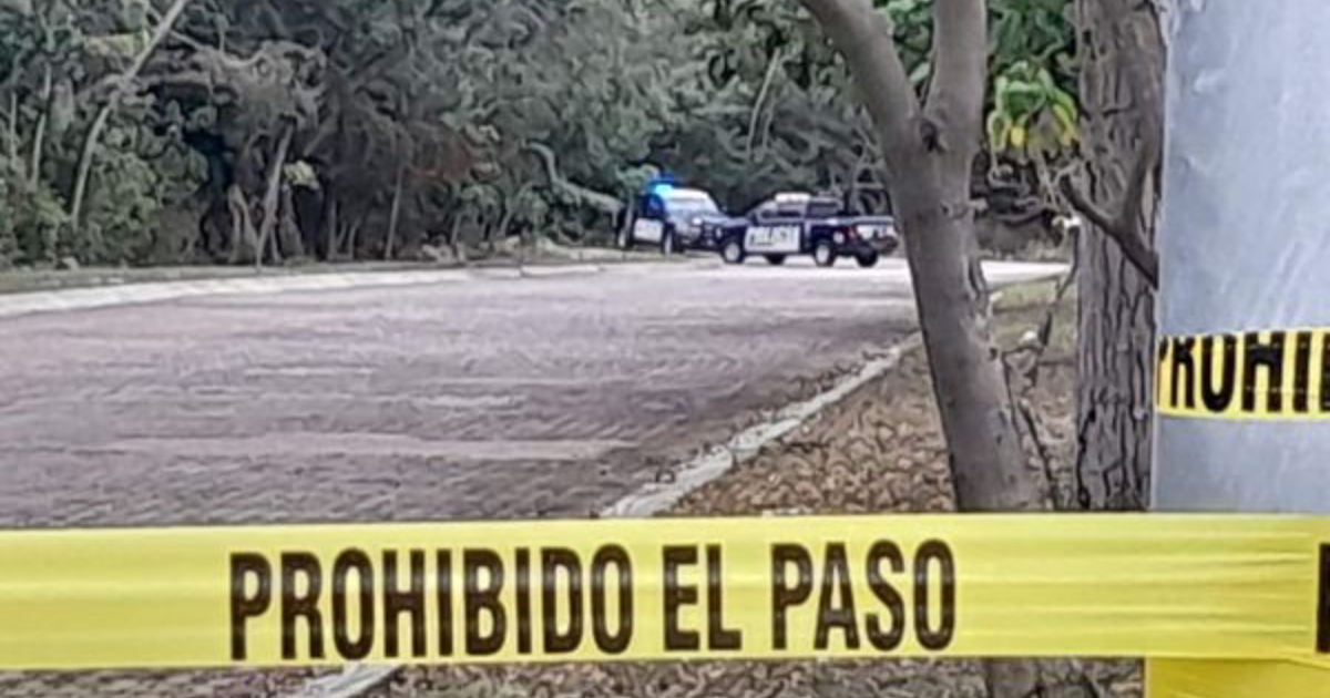 Asesinan a una mujer y la arrojan en un paraje solitario en Playa del Carmen