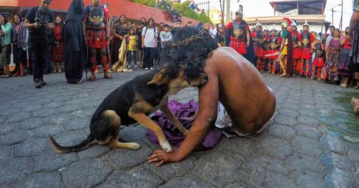 Perrito callejero consuela al actor que interpretó a Jesús en representación de La Pasión de Cristo