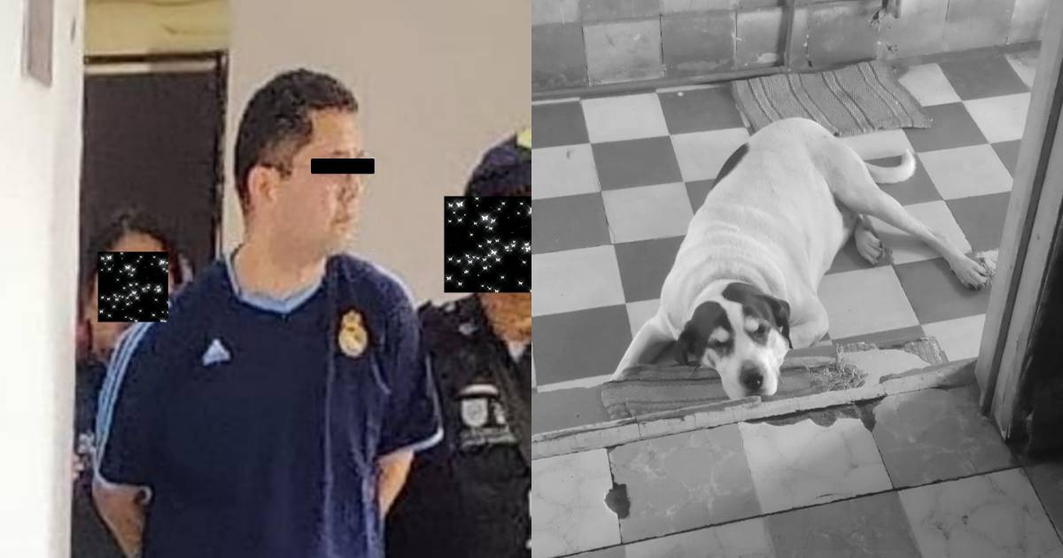 Dejan en libertad al asesino de Max, perro que fue baleado en la colonia Moctezuma