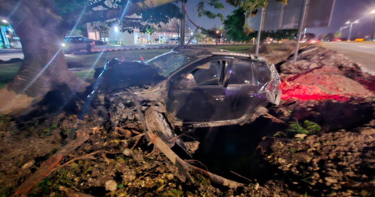Destruye su automóvil, derriba dos postes y una palmera en accidente en Cancún