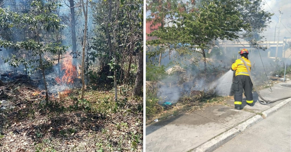 Inician en Solidaridad trabajos preventivos de cara a la temporada de incendios