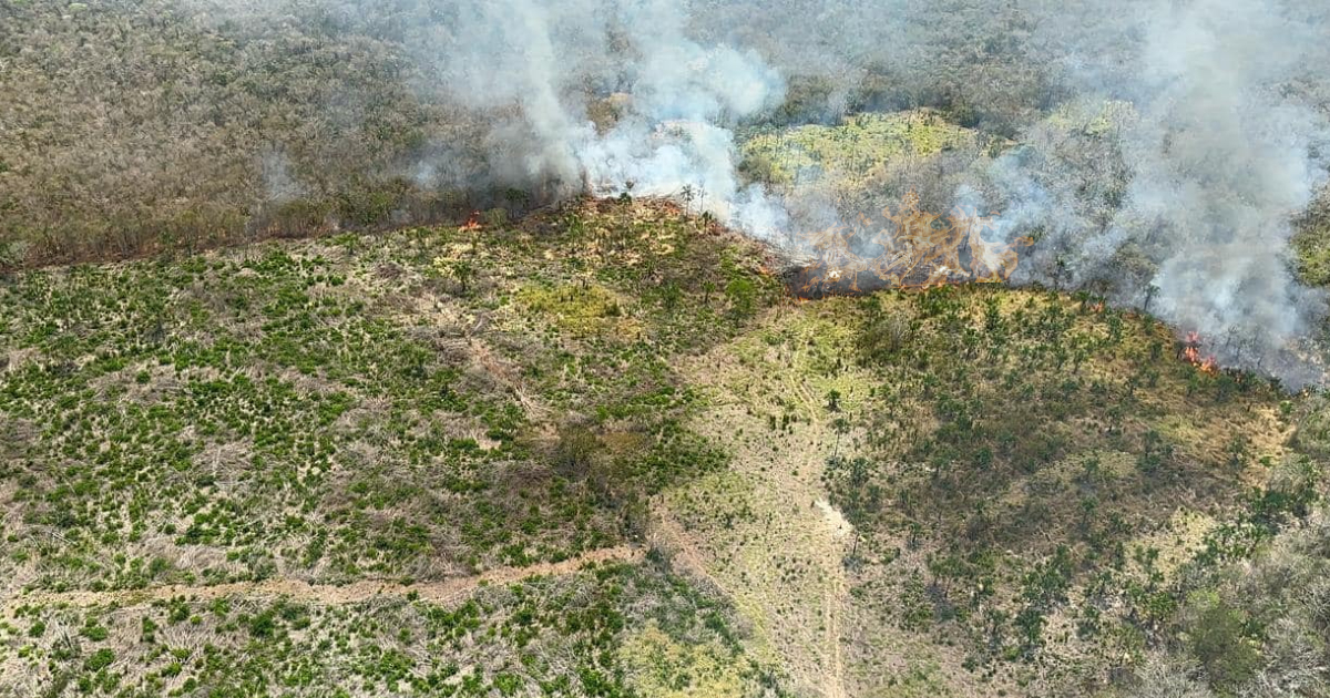 Realizan “operativo aéreo crucial” para atacar devastador incendio forestal en Tulum