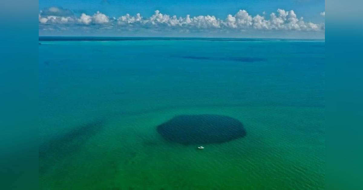 Revelan que el agujero azúl Taam Ja’ de Chetumal es el más profundo del planeta