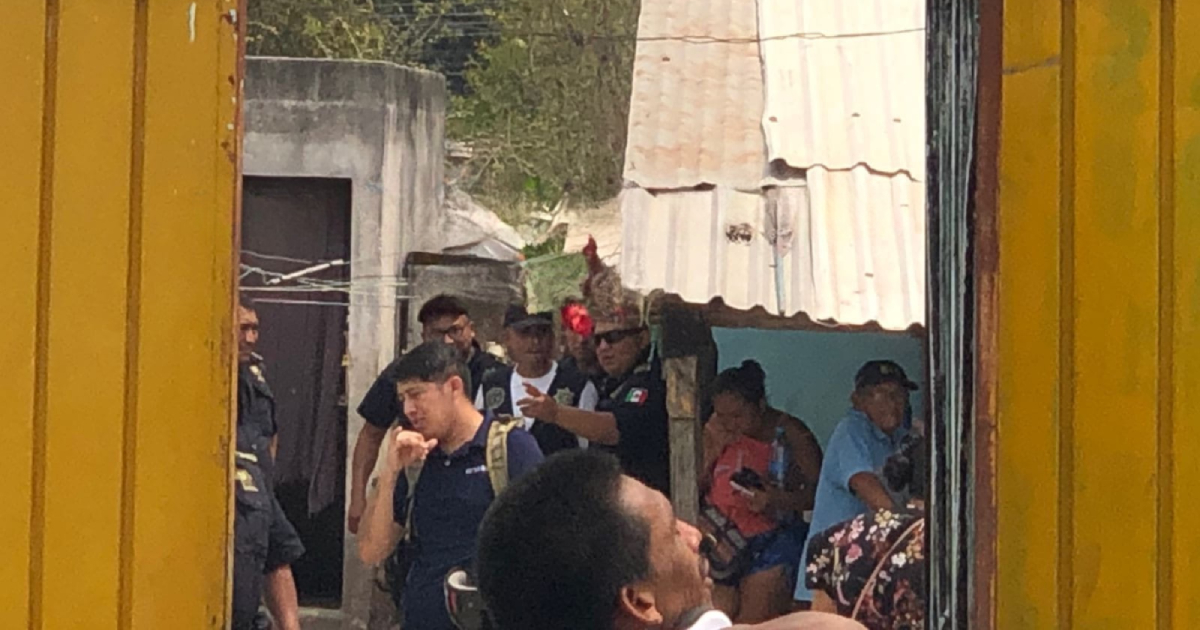 Cerdo ataca a su dueño y lo mata a mordeduras en Mérida