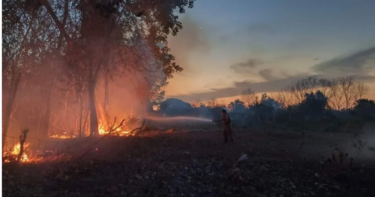 José María Morelos registra 200 incendios esta temporada