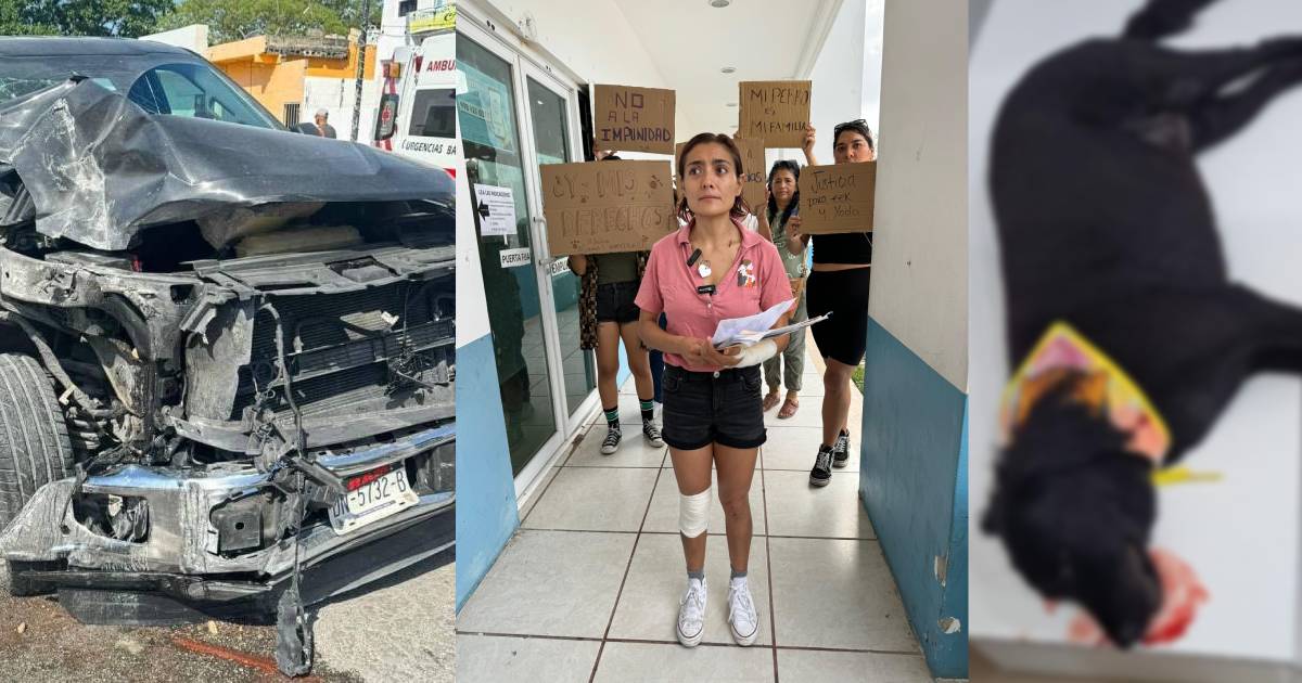Joven exige justicia tras ser atropellada junto a sus perros