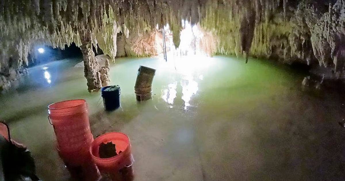 La Profepa certifica daño ambiental por obras del Tren Maya