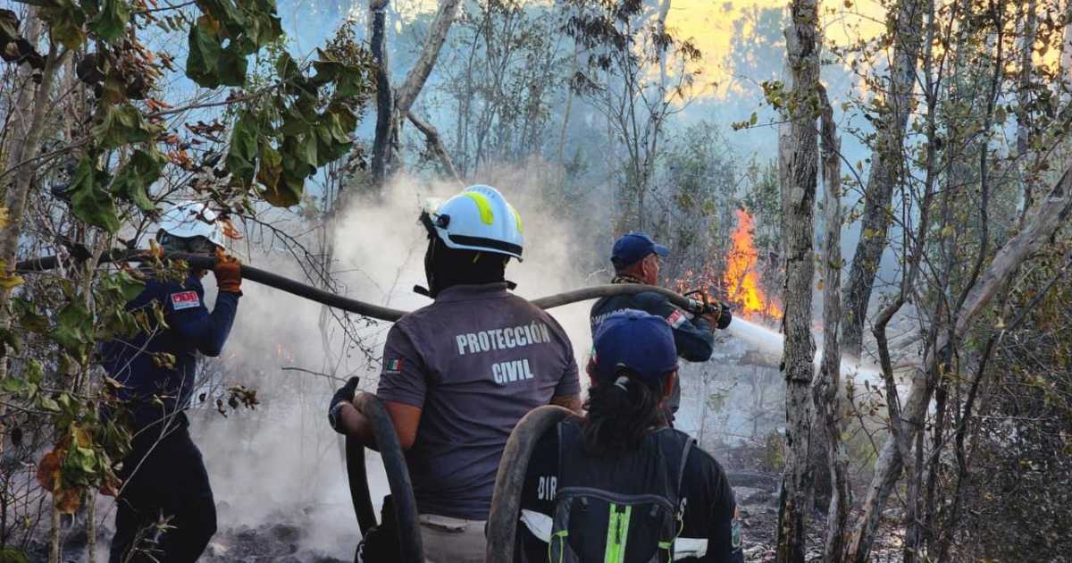 Incendios forestales activos en Tulum: peligros y causas