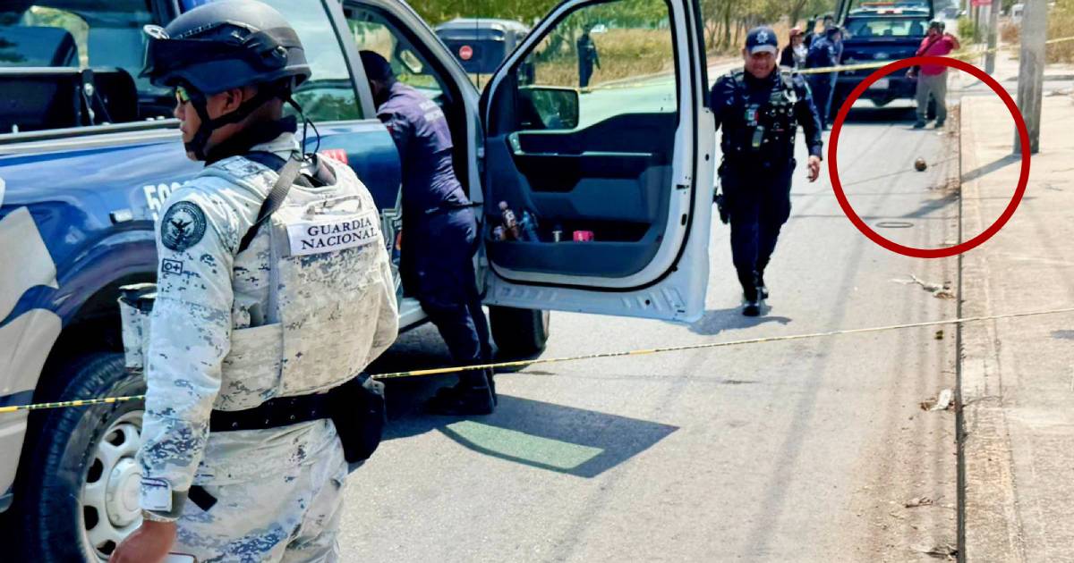 Restos humanos fueron hallados por perros callejeros