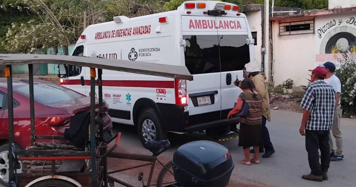 Ataque de abejas deja múltiples heridos en área urbana.