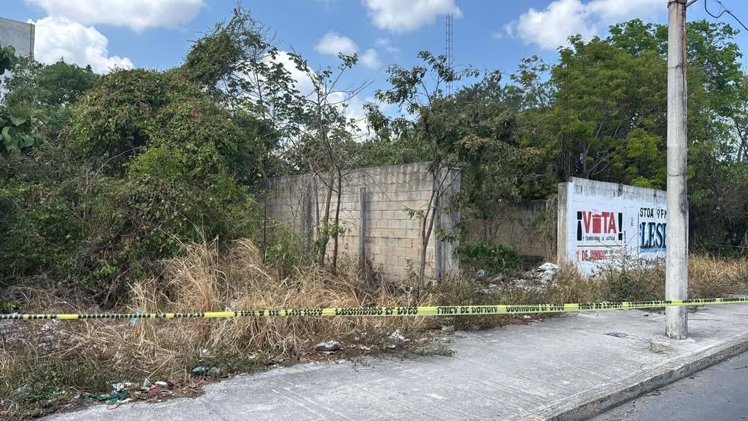 Restos humanos fueron hallados por perros callejeros