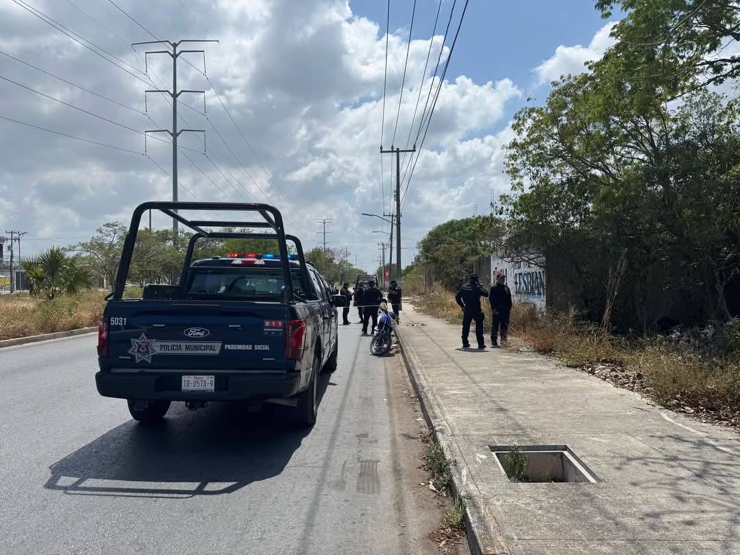 Restos humanos fueron hallados por perros callejeros