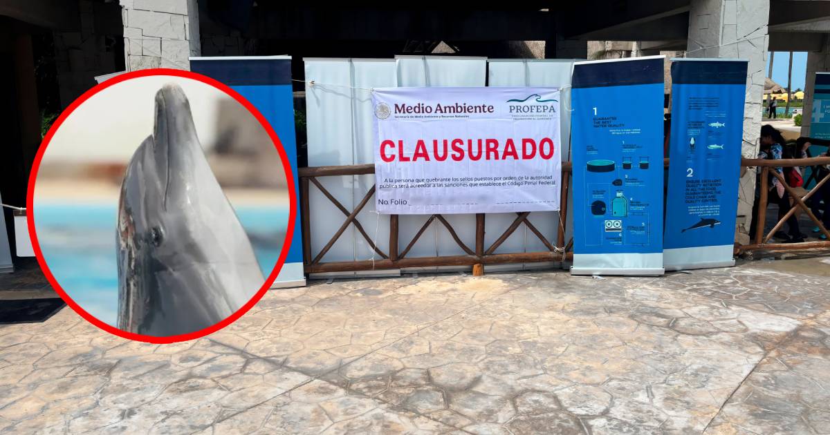 Profepa clausura el delfinario Dolphinaris Barceló